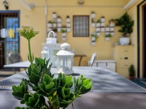 thumbnail: Rooftop terrace