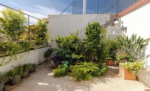 thumbnail: Terrace/patio