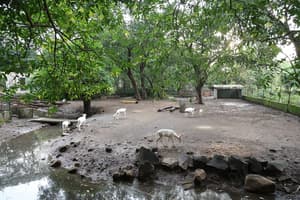 Panvel thumbnail