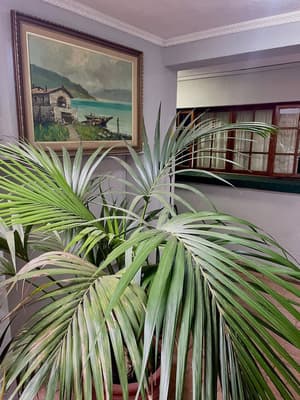 thumbnail: Interior entrance