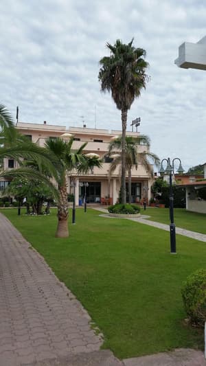 thumbnail: General view