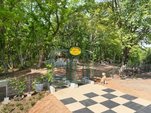 thumbnail: Terrace/patio