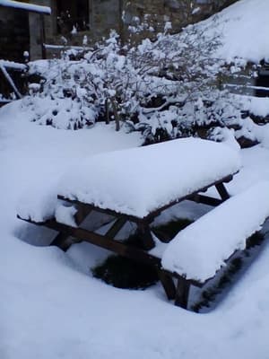 thumbnail: BBQ/picnic area