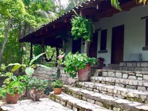 thumbnail: Garden view