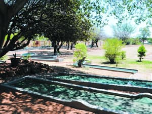 thumbnail: Mini-golf