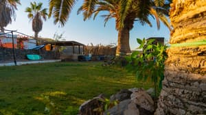 thumbnail: Garden