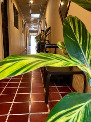 thumbnail: Hallway
