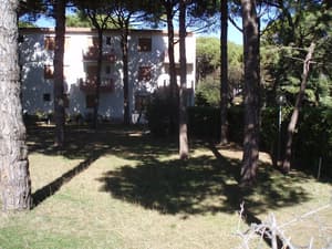 thumbnail: Garden view