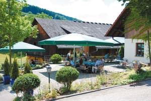 thumbnail: Terrace/patio