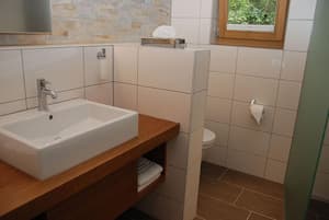 thumbnail: Bathroom sink