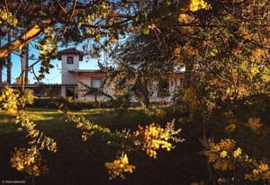 thumbnail: Exterior