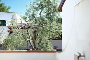 thumbnail: Garden