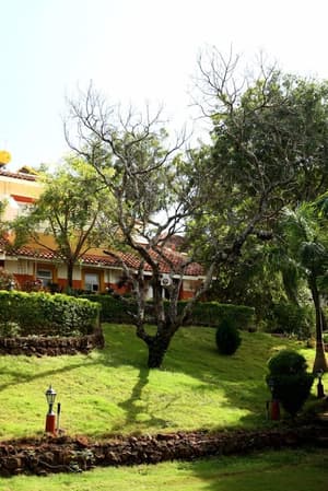 thumbnail: Garden