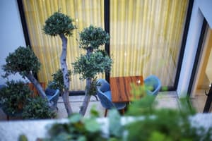 thumbnail: Interior