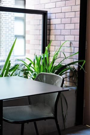 thumbnail: Terrace/patio