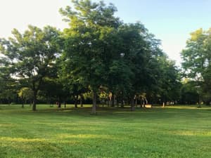 thumbnail: Garden