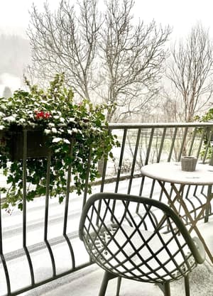 thumbnail: Terrace/patio