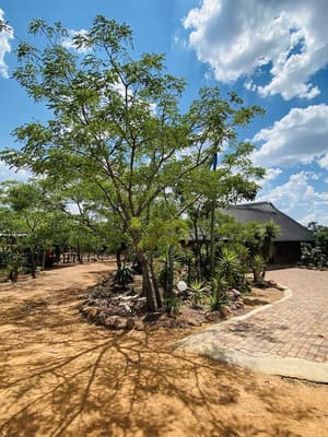thumbnail: Front of property