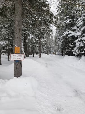 thumbnail: Snowshoeing