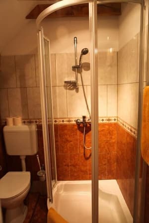 thumbnail: Bathroom shower