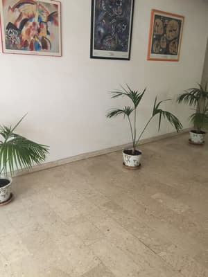thumbnail: Interior