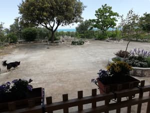 thumbnail: View from room