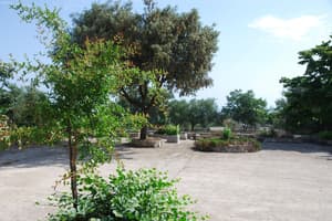 thumbnail: Garden