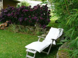 thumbnail: General view