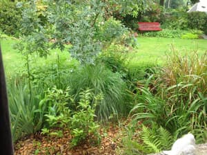 thumbnail: General view