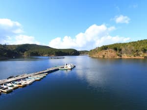 thumbnail: Rowing