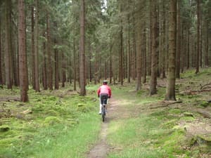 thumbnail: Bicycling