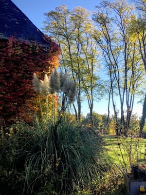 thumbnail: Property grounds
