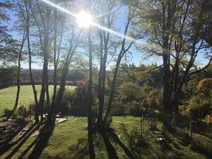 thumbnail: Property grounds