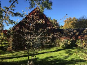 thumbnail: Property grounds
