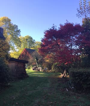 thumbnail: Property grounds