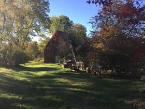 thumbnail: Property grounds