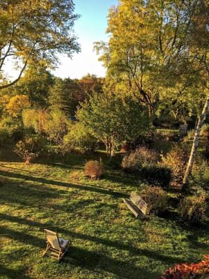 thumbnail: Garden