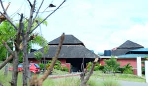 thumbnail: General view
