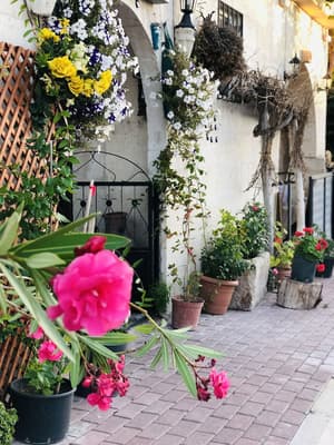 thumbnail: Garden