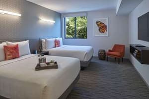 thumbnail: Guest Room,On-Site