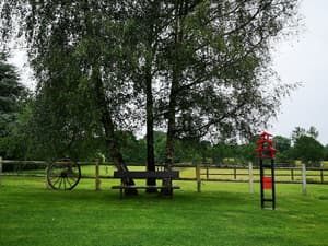 thumbnail: Garden