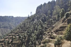 thumbnail: Mountain view