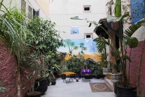 thumbnail: Garden view