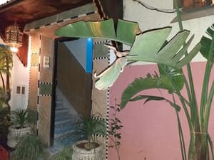 thumbnail: Garden