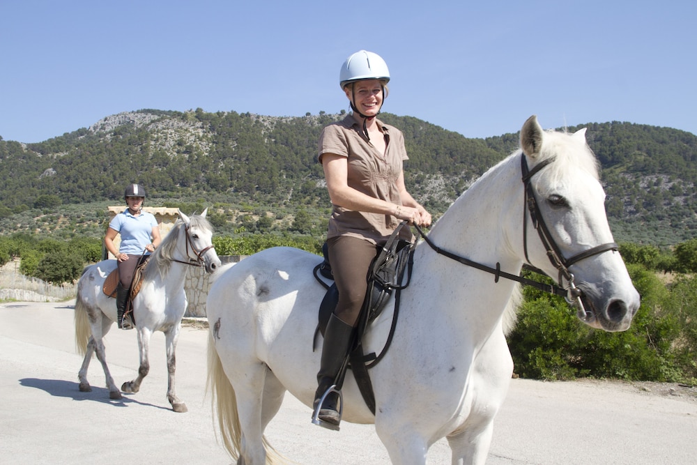 Horseback riding