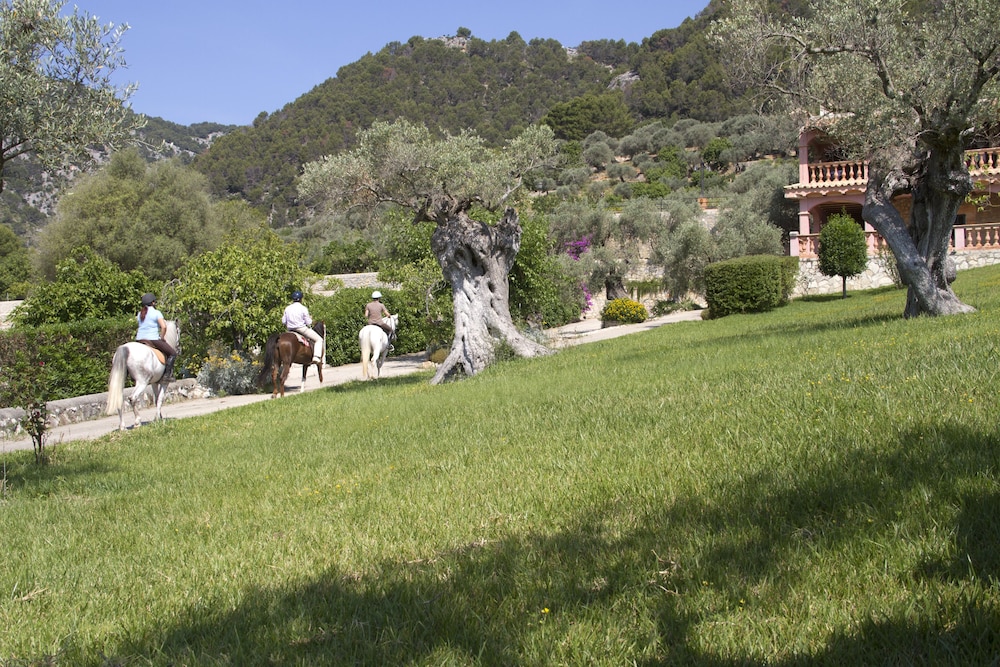 Horseback riding