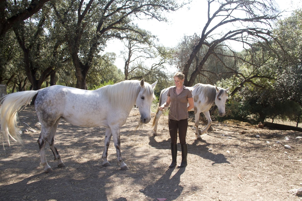 Horseback riding