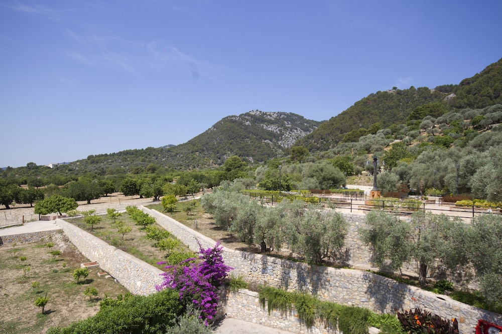 Land view from property