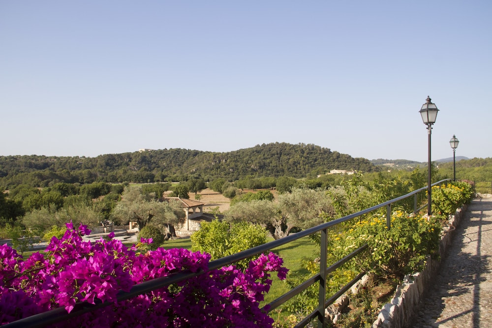 Land view from property