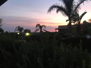 thumbnail: Primary image